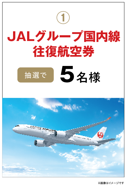 JALグループ国内線往復航空券